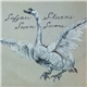 Sufjan Stevens - Seven Swans